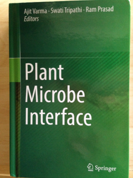 Plant Microbe Interface